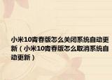 小米10青春版怎么关闭系统自动更新（小米10青春版怎么取消系统自动更新）