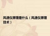 风速仪原理是什么（风速仪原理技术）