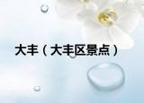 大丰（大丰区景点）