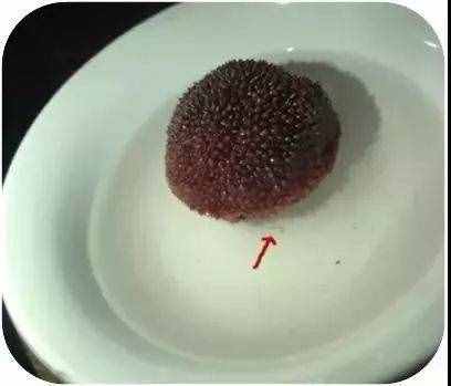 盐水一泡白色小虫密密麻麻！杨梅吃还是不吃？医生做了个实验