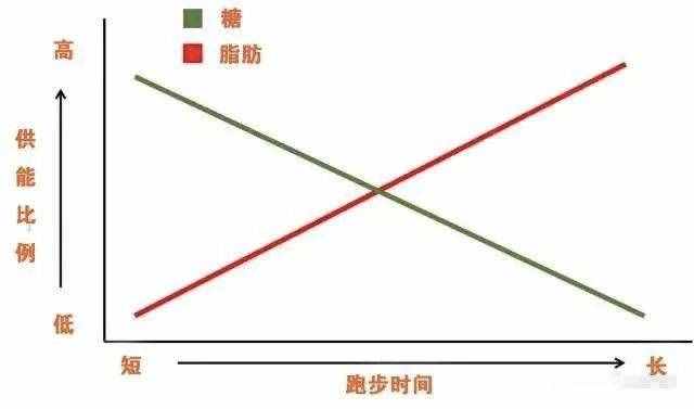 晚上跑步真的会瘦吗？腿会变粗吗？
