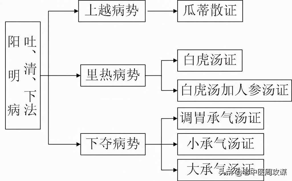 六经辨证治法图解