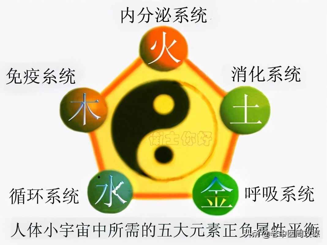 六经辨证治法图解