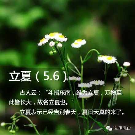 你知道五月有多少个节日吗？