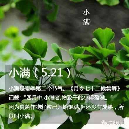 你知道五月有多少个节日吗？