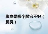 脚臭是哪个器官不好（脚臭）
