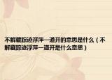 不解藏踪迹浮萍一道开的意思是什么（不解藏踪迹浮萍一道开是什么意思）