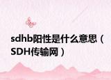 sdhb阳性是什么意思（SDH传输网）