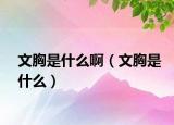 文胸是什么啊（文胸是什么）