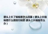 额头上长了痘痘是怎么回事（额头上长痘痘是什么原因引起的 额头上长痘痘怎么办）
