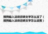 搜狗输入法语音转文字怎么没了（搜狗输入法语音转文字怎么设置）