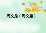 周文龙（周文重）