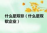 什么是双非（什么是双软企业）