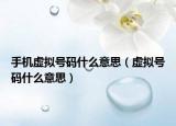 手机虚拟号码什么意思（虚拟号码什么意思）