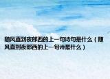 随风直到夜郎西的上一句诗句是什么（随风直到夜郎西的上一句诗是什么）