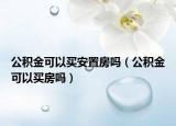 公积金可以买安置房吗（公积金可以买房吗）
