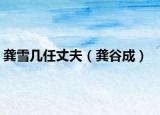 龚雪几任丈夫（龚谷成）