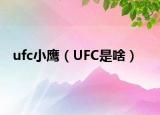 ufc小鹰（UFC是啥）