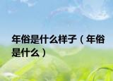 年俗是什么样子（年俗是什么）