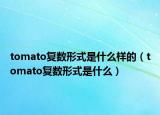 tomato复数形式是什么样的（tomato复数形式是什么）