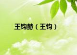 王钧赫（王钧）