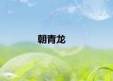 朝青龙