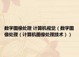 数字图像处理 计算机视觉（数字图像处理（计算机图像处理技术））