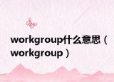 workgroup什么意思（workgroup）