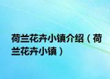 荷兰花卉小镇介绍（荷兰花卉小镇）