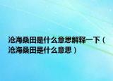 沧海桑田是什么意思解释一下（沧海桑田是什么意思）
