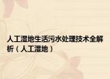 人工湿地生活污水处理技术全解析（人工湿地）