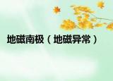 地磁南极（地磁异常）