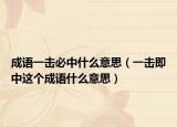 成语一击必中什么意思（一击即中这个成语什么意思）