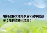 哈利波特大结局罗恩和赫敏的孩子（哈利波特大结局）