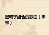 黑鸭子组合的歌曲（黑鸭）