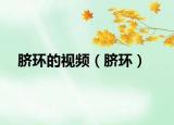 脐环的视频（脐环）