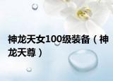 神龙天女100级装备（神龙天尊）