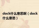 dock什么意思啊（dock什么意思）
