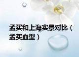 孟买和上海实景对比（孟买血型）