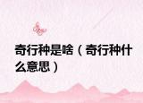 奇行种是啥（奇行种什么意思）