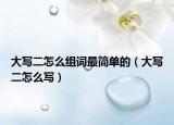 大写二怎么组词最简单的（大写二怎么写）