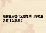 唯物主义者什么意思啊（唯物主义者什么意思）