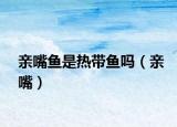 亲嘴鱼是热带鱼吗（亲嘴）