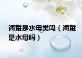 海蜇是水母类吗（海蜇是水母吗）
