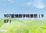 907爱情数字啥意思（907）