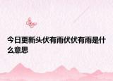 今日更新头伏有雨伏伏有雨是什么意思