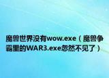 魔兽世界没有wow.exe（魔兽争霸里的WAR3.exe忽然不见了）