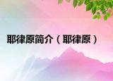 耶律原简介（耶律原）