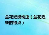 兰花螳螂幼虫（兰花螳螂的特点）
