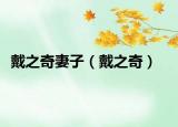 戴之奇妻子（戴之奇）